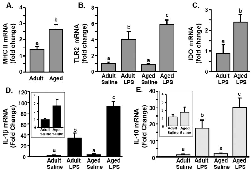 Fig.4