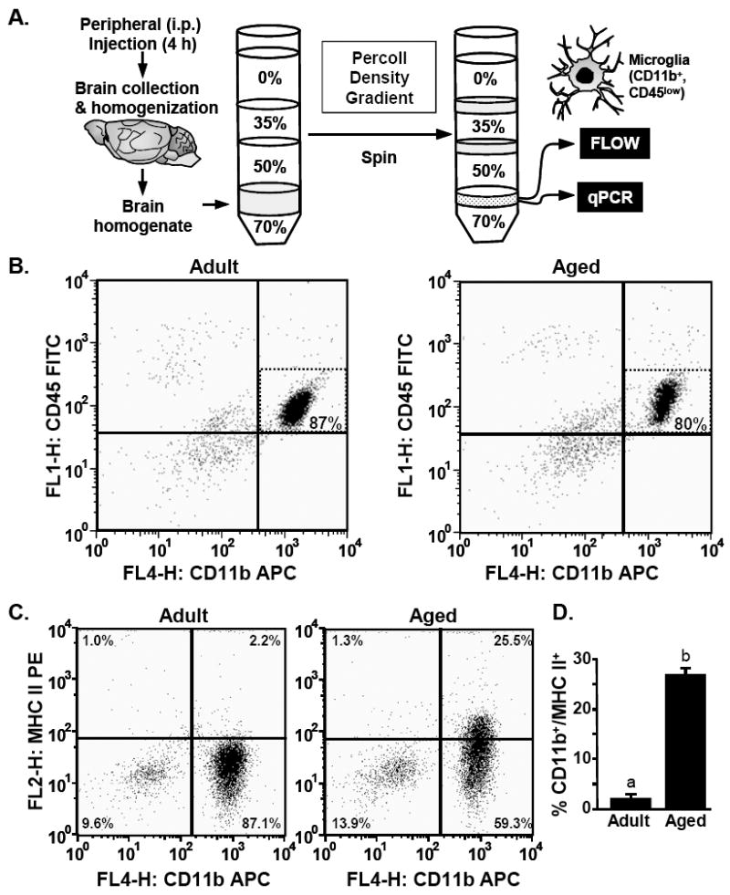 Fig.3