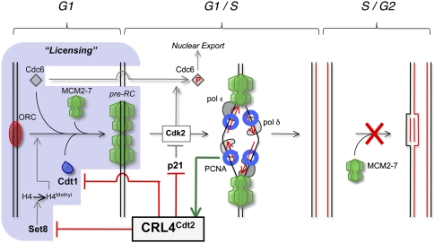 Figure 3.