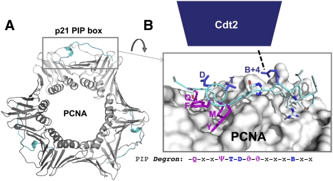 Figure 4.