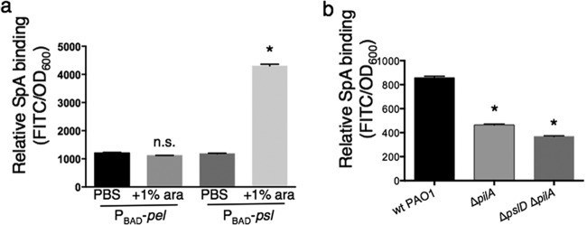 FIG 3 