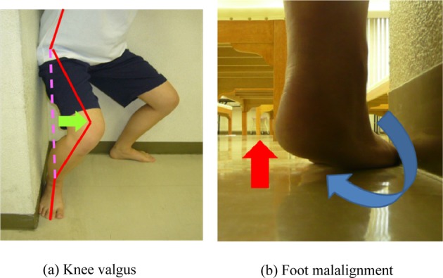 Fig. 2.