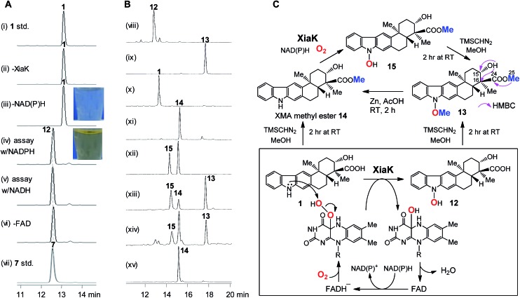 Fig. 3