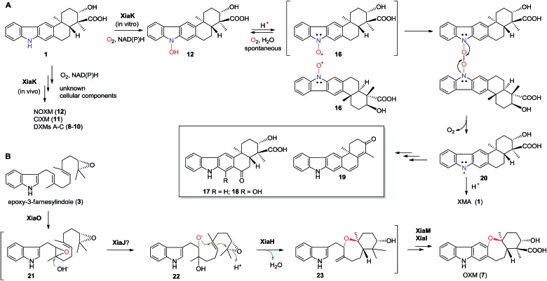 Fig. 7