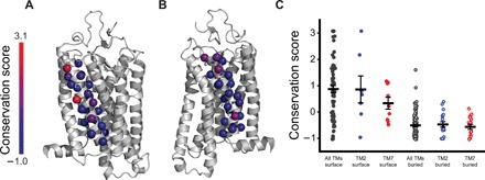 Fig. 6