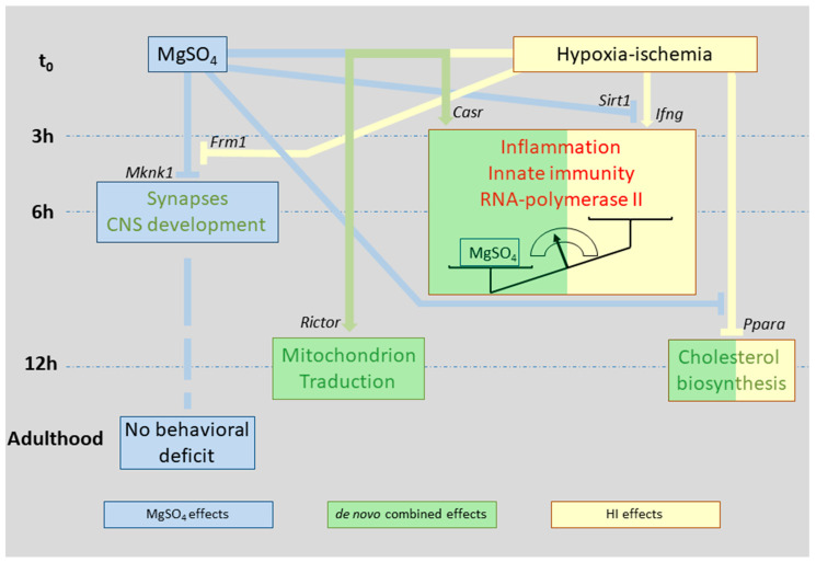 Figure 10