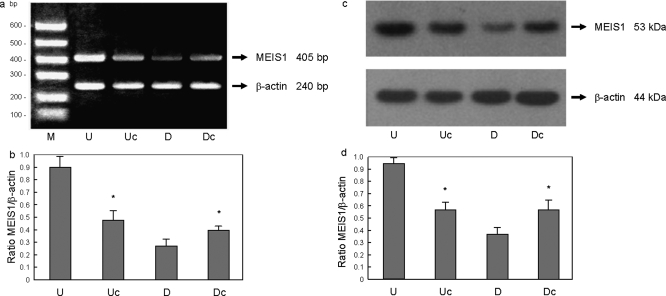 Figure 4: