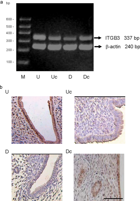 Figure 7: