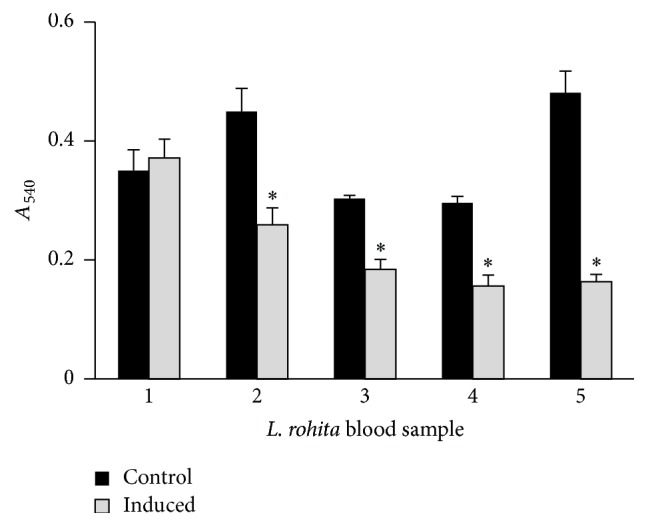 Figure 4