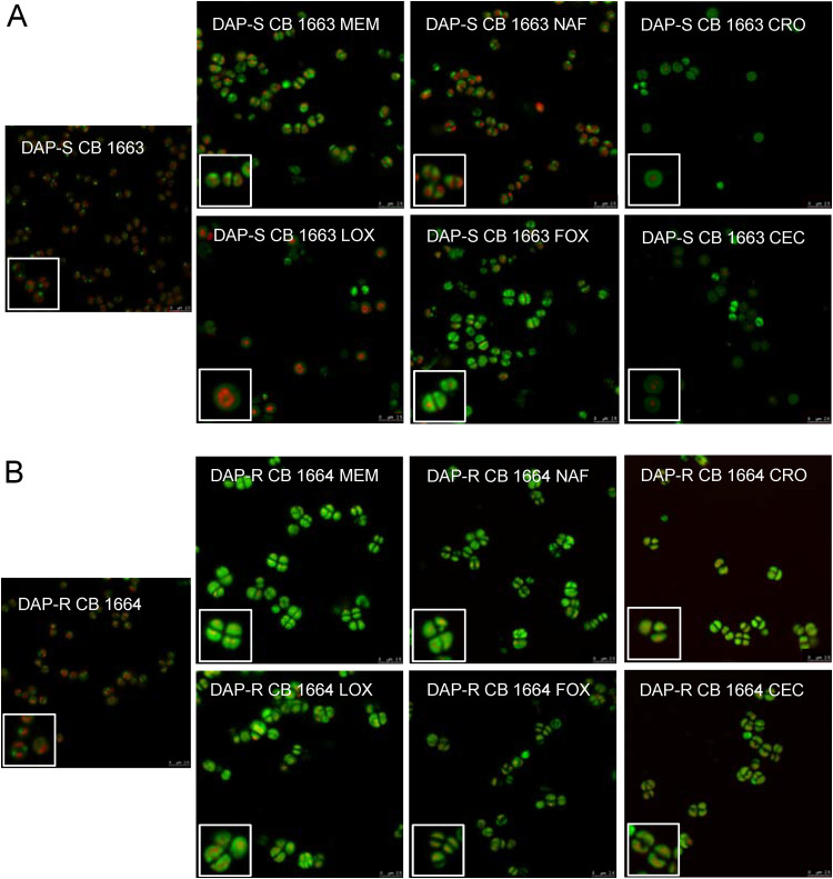 FIG 3