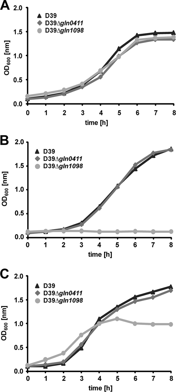 FIG. 2.