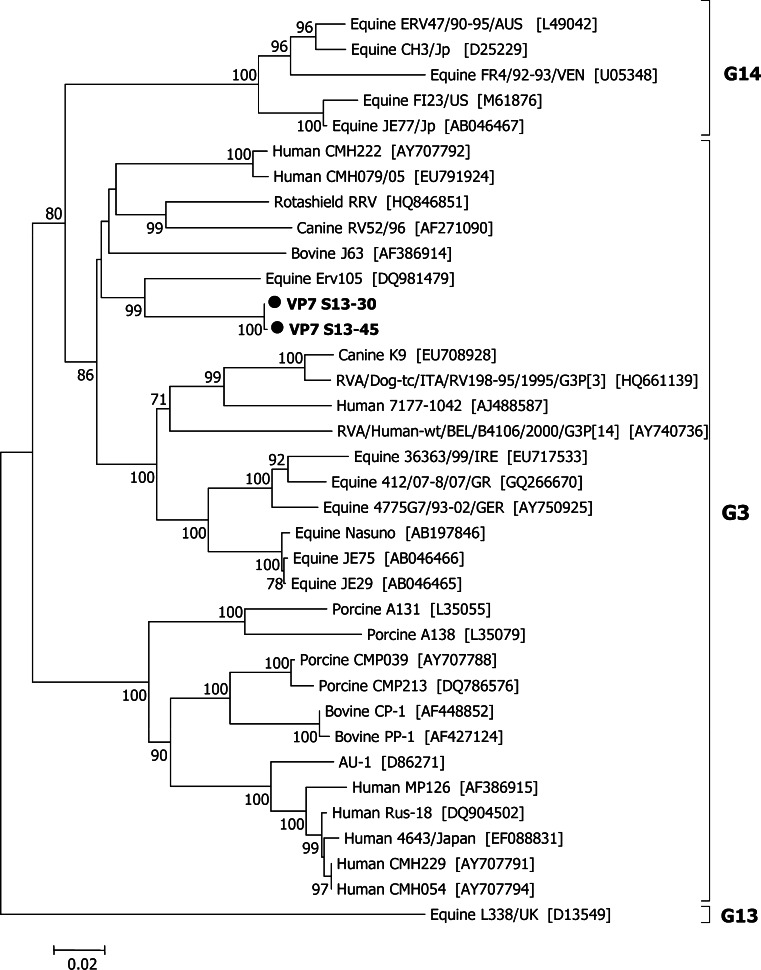 Fig. 1