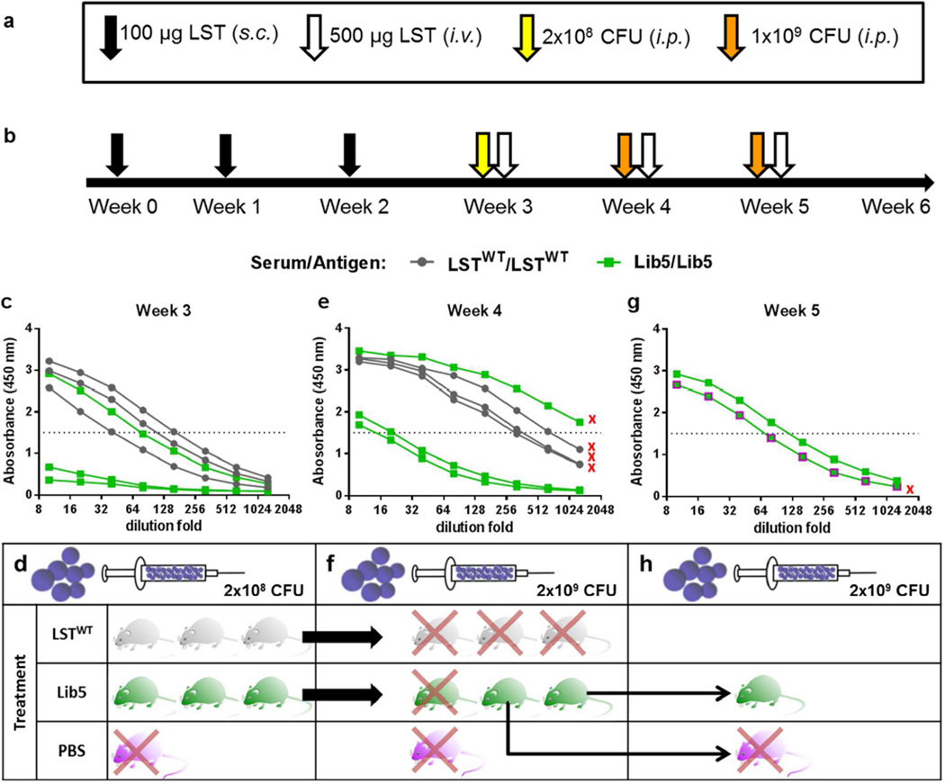 Fig. 4