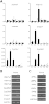 Figure 6