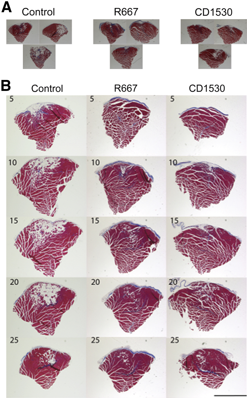 Figure 2