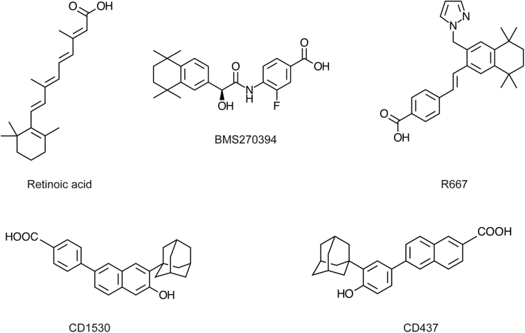 Supplemental Figure S1