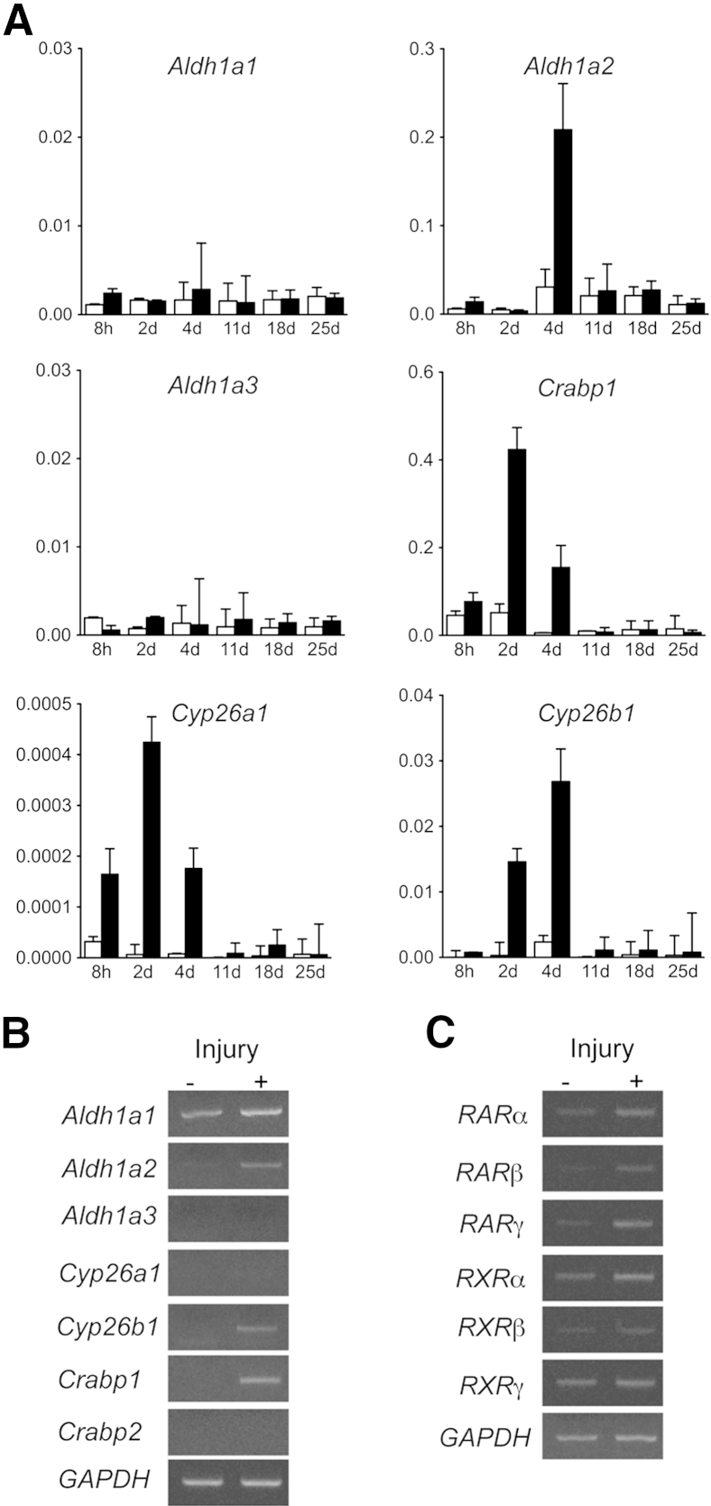 Figure 6