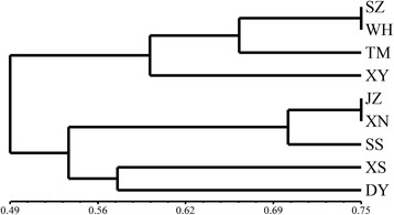 Fig. 5