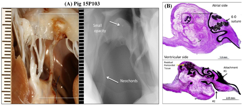 Figure 3: