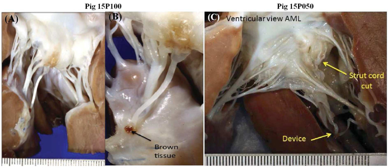 Figure 2: