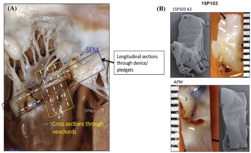 Figure 4: