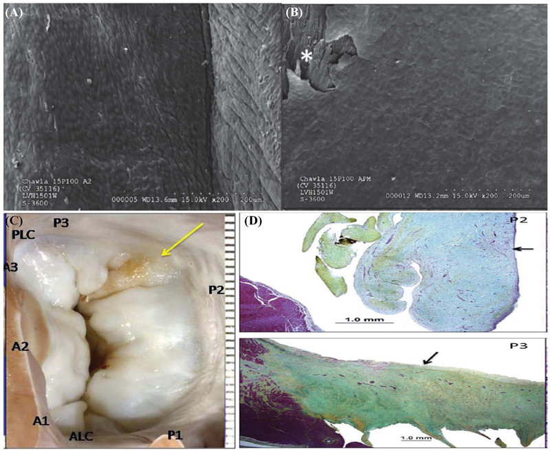 Figure 5: