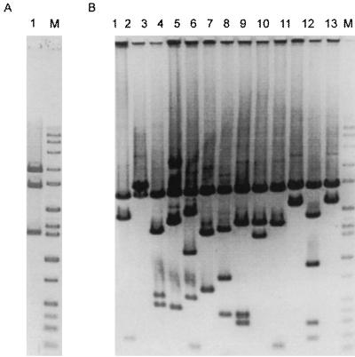 FIG. 1