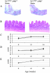 FIG. 7.