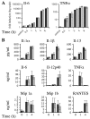 FIG. 6.