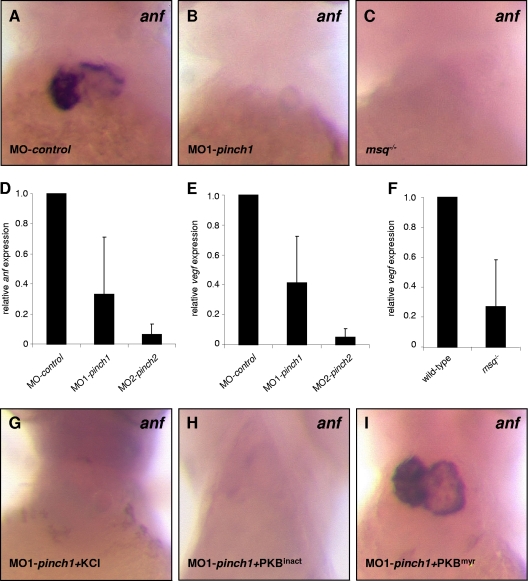 Fig. 9.