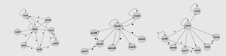 Figure 2: