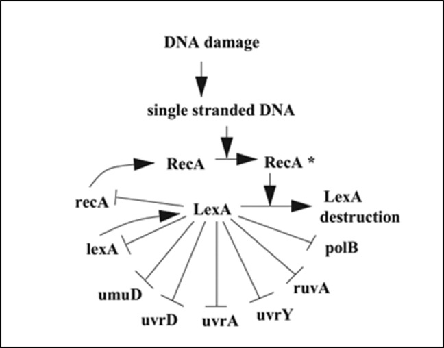 Figure 1: