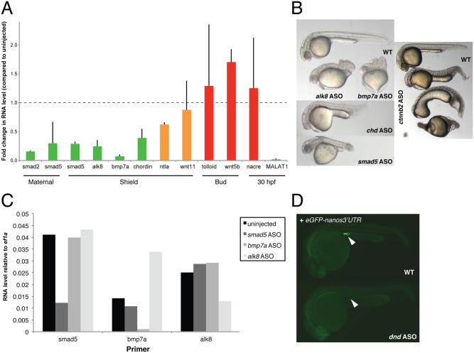 Fig 4