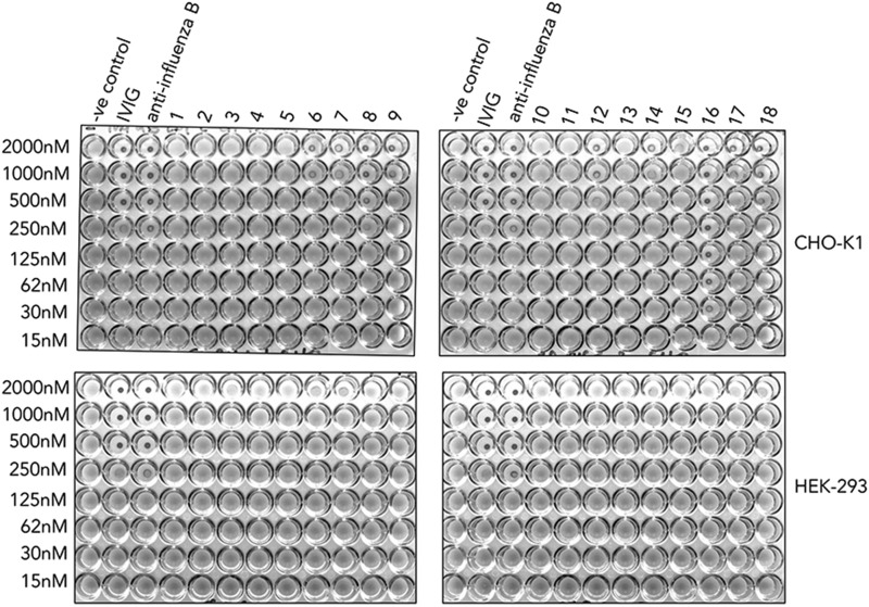 FIGURE 12.