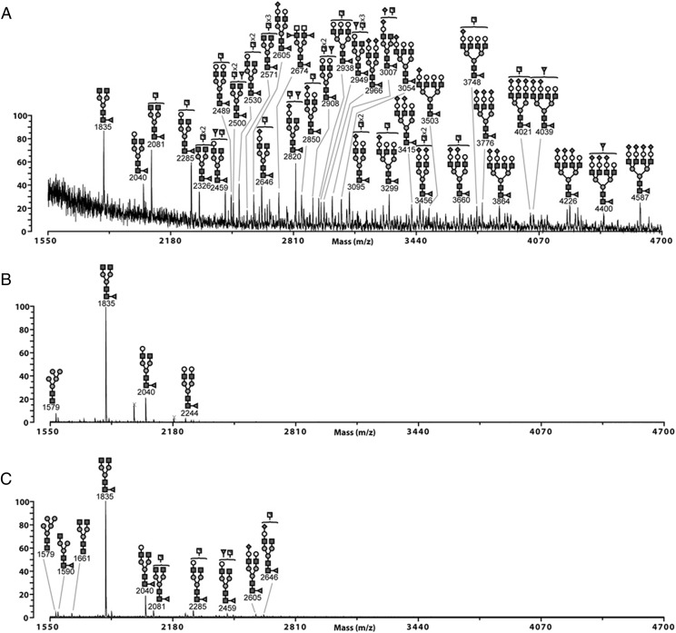 FIGURE 10.