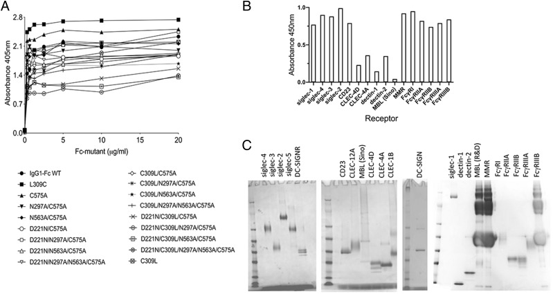 FIGURE 3.