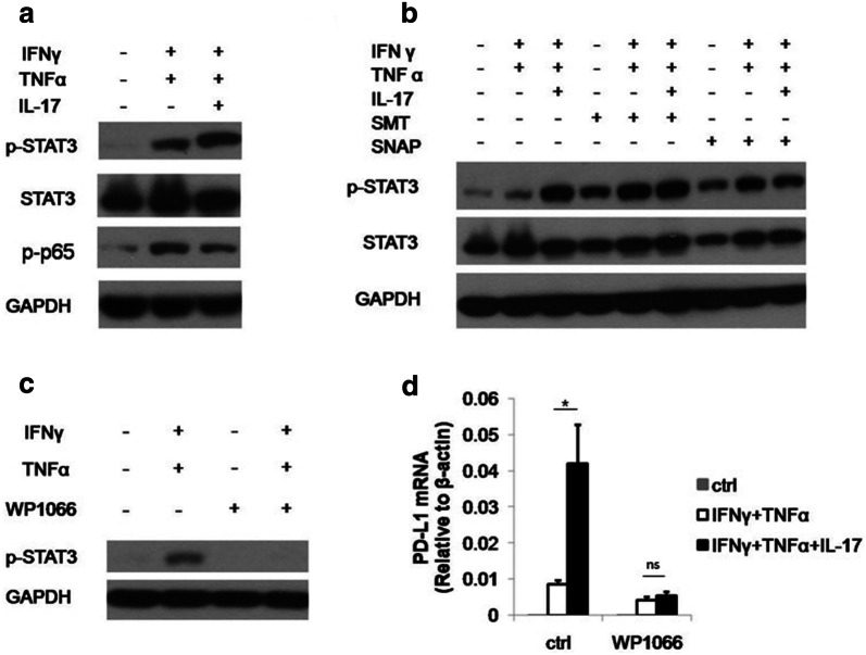 Fig. 4