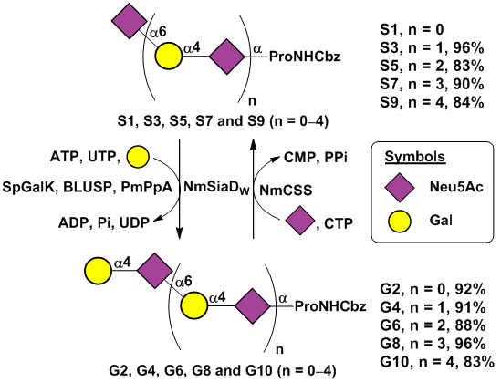 graphic file with name nihms-1579650-f0001.jpg