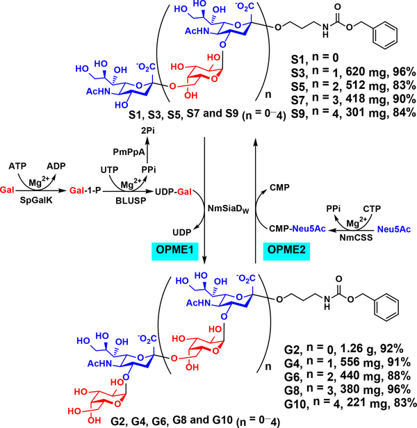 Scheme 2.