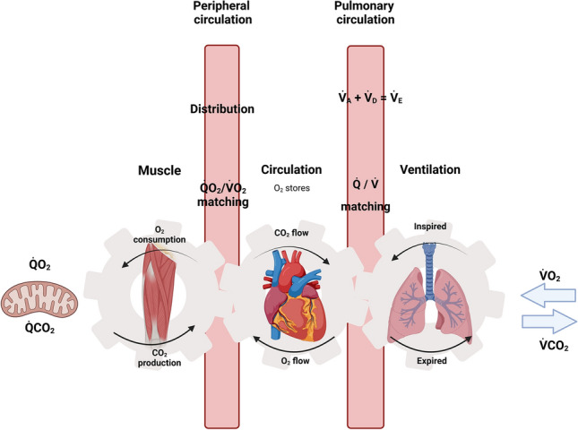 Fig. 2