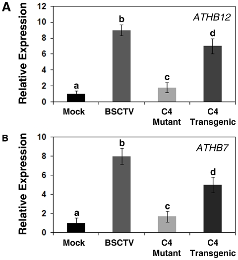 Figure 4