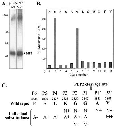 FIG. 4.