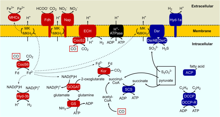 Fig. 2