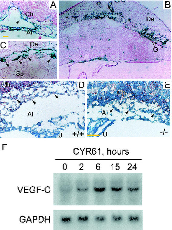 FIG. 5.