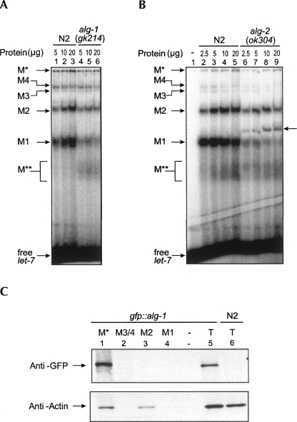 FIGURE 4.