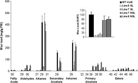 Figure 11.