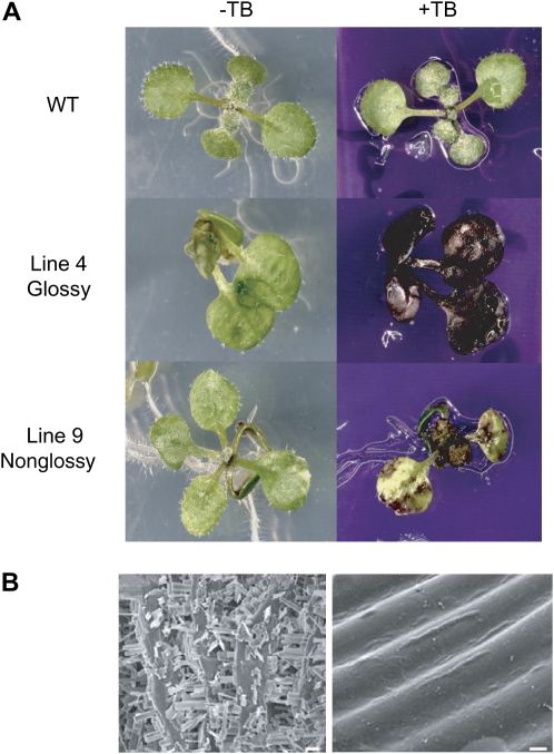 Figure 10.