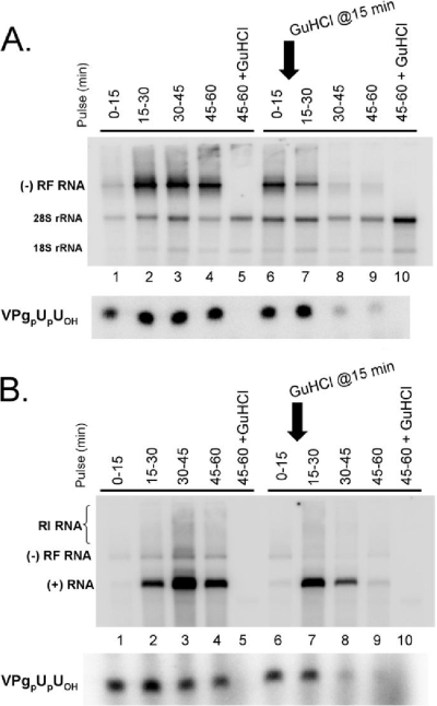 FIG. 7.