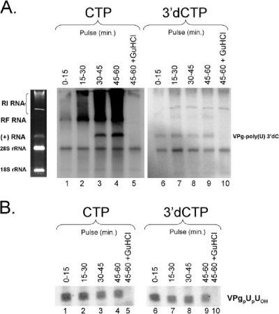 FIG. 6.