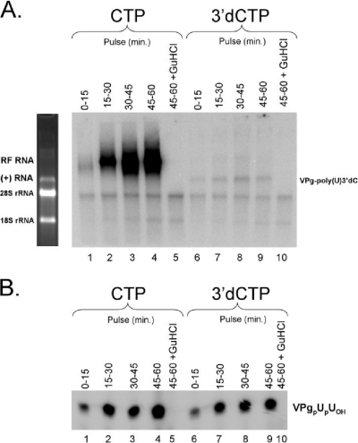 FIG. 5.